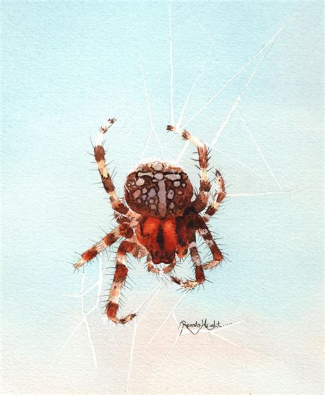 Watercolor Spider Web at PaintingValley.com | Explore collection of ...