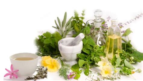 Aromatherapy oils and their benefits