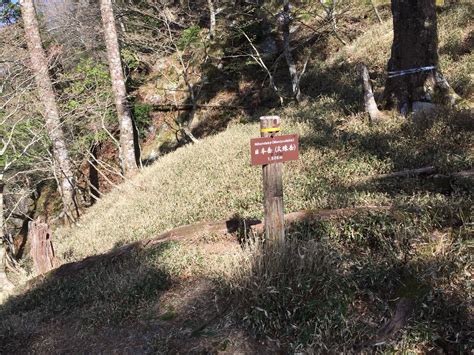 八経ヶ岳に続き快晴の大普賢岳へchallenge ️ 観音峯山・大普賢岳・山上ヶ岳・稲村ヶ岳の写真57枚目 コルまで来ました