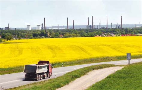 Kommunale Wirtschaftsförderung Wirtschaft und Entwicklung in Schwedt