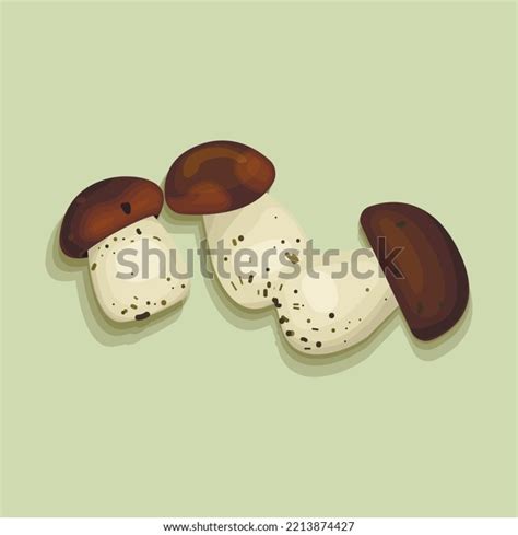 Porcini Edible Mushrooms Forest Mushrooms Isolated Stock Vector