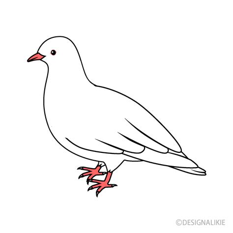 white dove clipart free 10 free Cliparts | Download images on ...