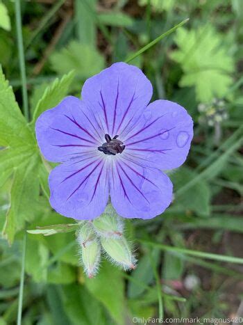 Paige Spiranac PaigeSpiranac Paige Renee Paige Renee Nude OnlyFans Photo 1786 The