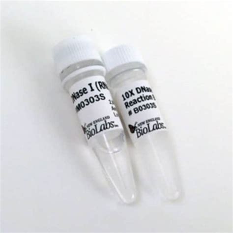 New England Biolabs Inc Dnase I Rnase Free Units Quantity