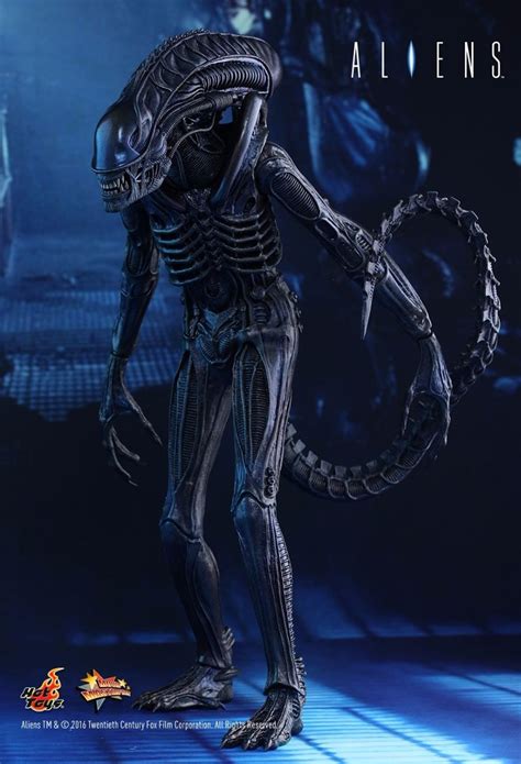 Tk0 Hot Toys Alien Aliens 30th Anniversary Alien Warrior R 2 399 90 Em Mercado Livre