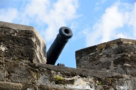 Gratis Billeder Tr Klippe Bakke Blomst Sten Monument Statue