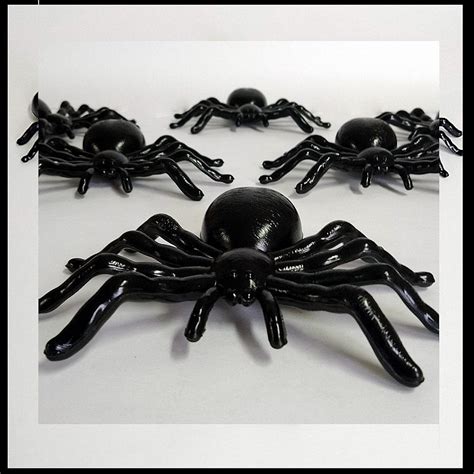 Aranhas Amarelas E Pretas - 6