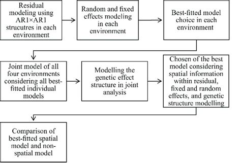 Flowchart Of The Spatial Analysis In Each Trial And Jointly All Steps Download Scientific