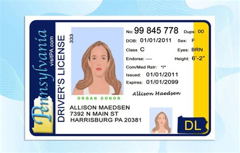 Pennsylvania Drivers License Template Psd Photoshop File