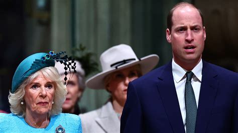 Both Queen Camilla and Prince William Reportedly Played Into King ...