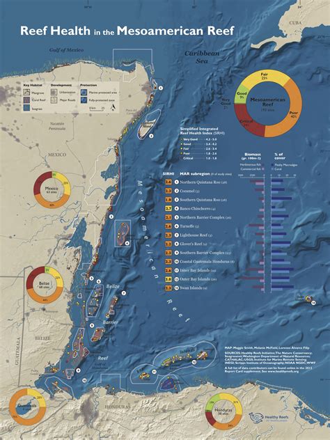 Grassroots movement helping Caribbean reefs to recover | Climate Change