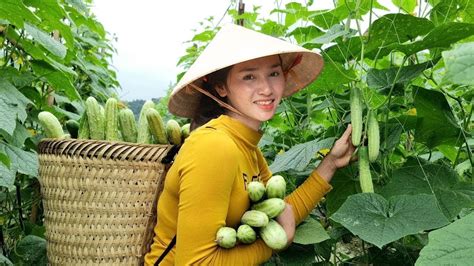 Harvesting Melon Flower Harvesting Taro Goes To The Market Sell