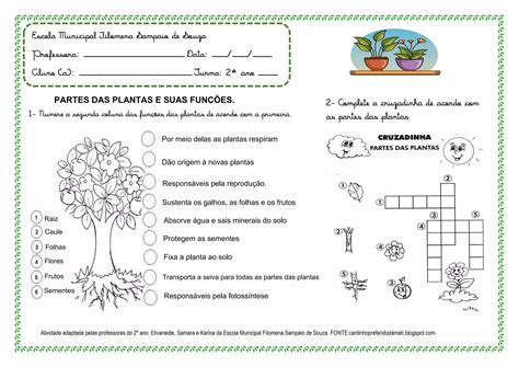 Atividade De Ciências Plantas 2º Anopdf