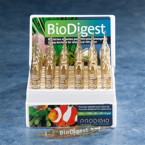 PRODIBIO BIoDigest - 01 AMPOLA