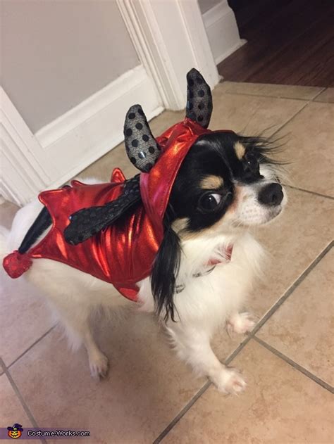 Cute Devil Dog Costume | Coolest Cosplay Costumes