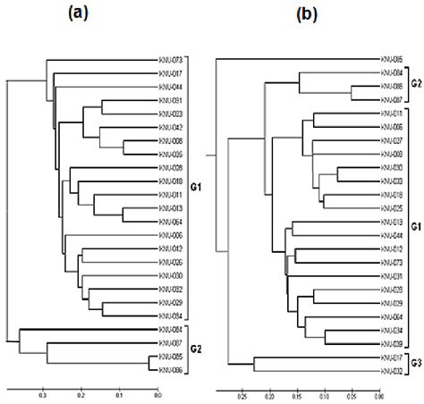 Upgma Dendrograms Showing Phylogenic Relationships Among The