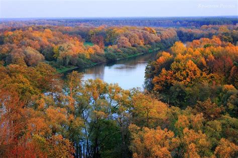 Брянская область | Landscape, National parks, World heritage sites