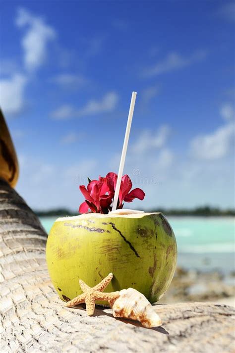 Coconuts On The Beach Stock Images - Image: 25513684