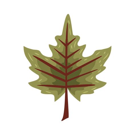 maple green leaf foliage 13814992 Vector Art at Vecteezy