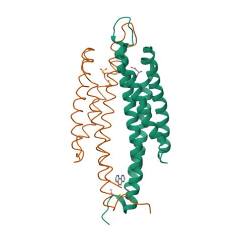 Rcsb Pdb Lig Three Dimensional Structures Of The Ligand Binding