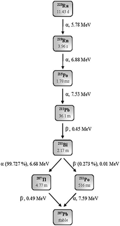 Radium 223 Decay Scheme