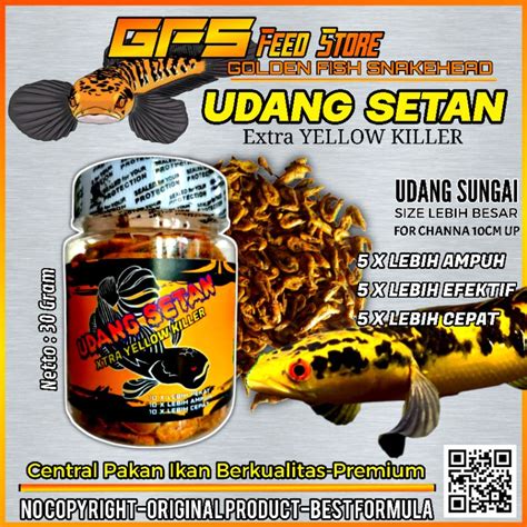 Jual Udang Setan Yellow Gram Pakan Channa Kontes Shopee Indonesia