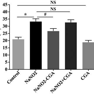 Effect Of CGA On Methemoglobin MetHb Levels In Erythrocytes Treated