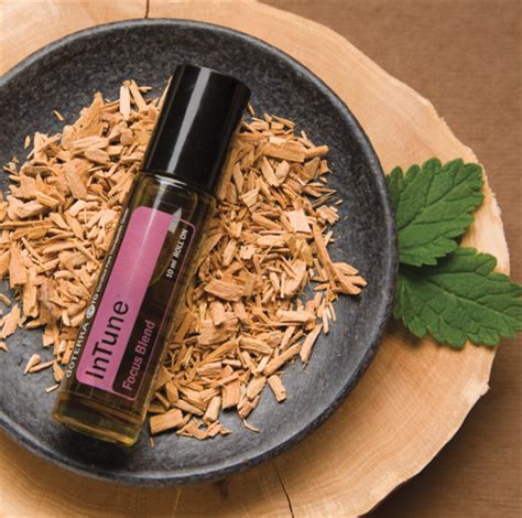 Doterra Essential Oil Blends Intune Roll On Focus Blend