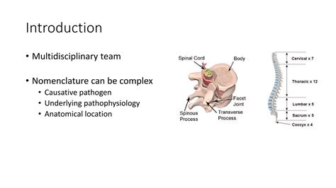 Spinal Infections Ppt