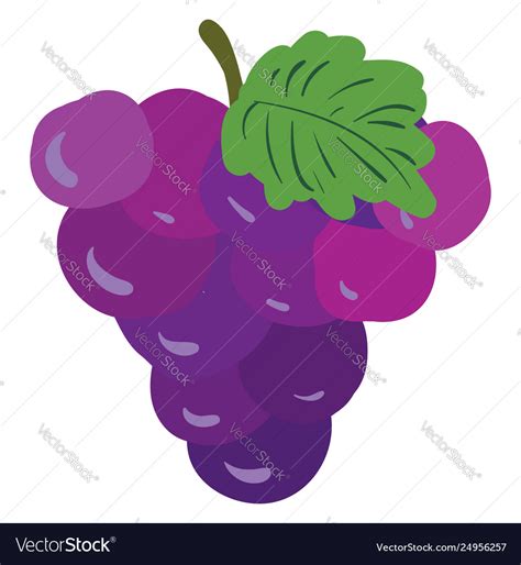 Clipart Grapes