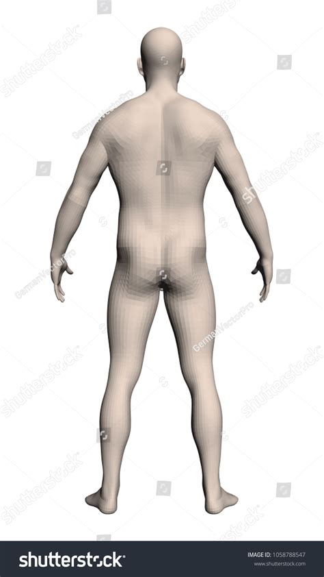 Naked Men Legs Spread Over Royalty Free Licensable Stock Illustrations Drawings Shutterstock
