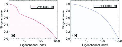 Normalized Singular Values Of A Oam Basis Tm And B Real Space Tm