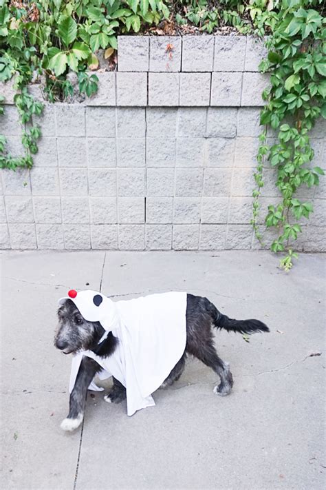 DIY Dog Ghost Costume • Heather Handmade