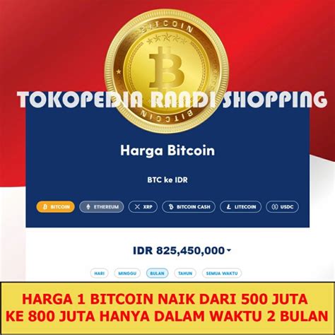 Jual Jasa Pembuatan Bitcoin Mining Pro Cryptocurrency Koin Kripto