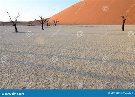 Dead Vlei Namibia Africa Stock Image Image Of Namibia 69179175