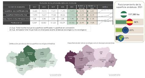 Andalucía es la primera zona productora de aceite de oliva ecológico de