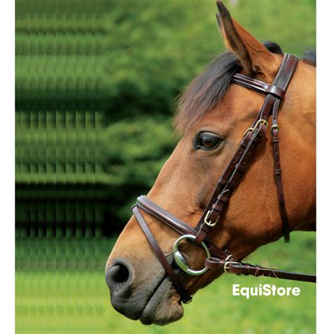 Puissance Comfort Bridle And Reins Equistore