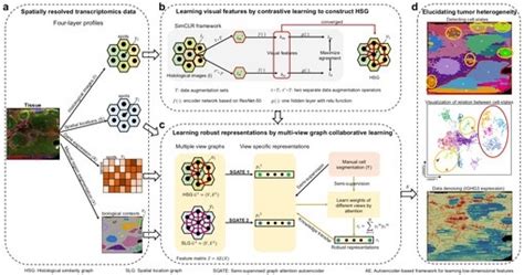 Progress In Elucidating Tumor Heterogeneity From Spatially Resolved