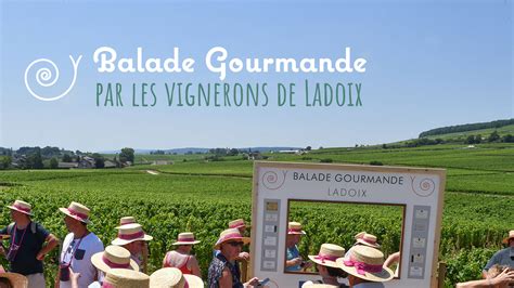 Balade Gourmande De Ladoix Serrigny Edition 2025