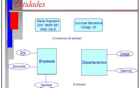 Base De Datos ¿que Es Una Entidad