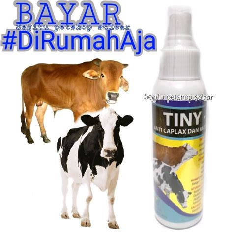 Tiny Sapi Obat Kutu Sapi Kerbau Pembasmi Parasit Caplax Tungau Lazada