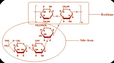 Chemical structure of xanthan gum [35] | Download Scientific Diagram