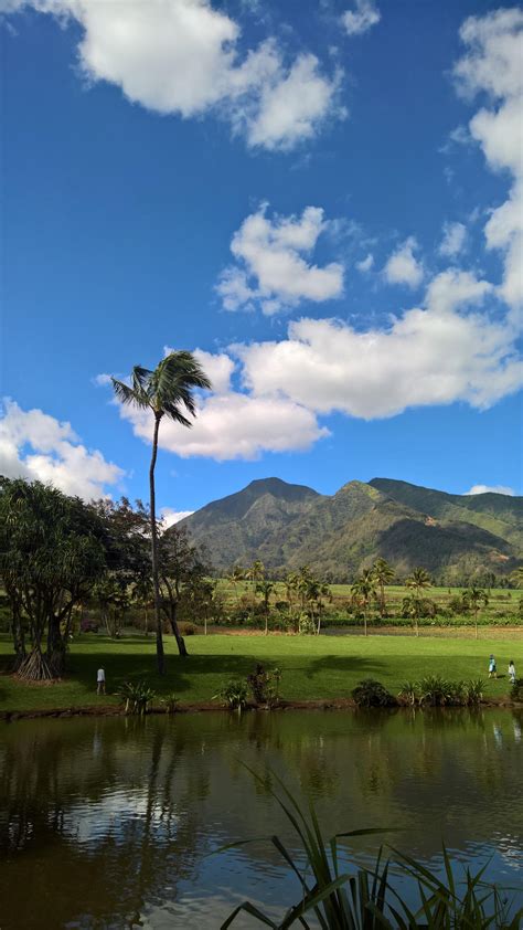 Maui view.Maui-Hawaii. by PalmPalm07 on DeviantArt