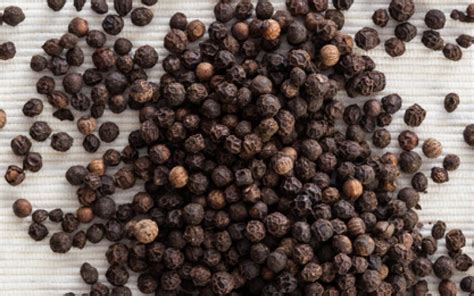 ΠΙΠΕΡΙ | Γιάννης Λουκάκος