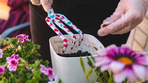 Step By Step Guide To Preparing Soil For Planting Flowers