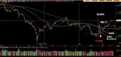 母子變盤線意味著就是多空的平衡短時間被打破進行的征戰 靜心 投資網誌 玩股網