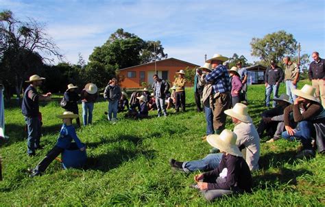 Dia de Campo em Santa Maria vai debater diversificação de culturas