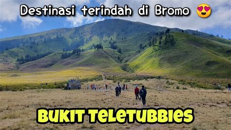 Bukit Teletubbies Pasir Berbisik Bromo Wisata Bromo Terbaru