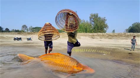 Traditional Fish Trapping System Best Fishing With Bamboo Tools