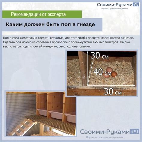 Фото Гнезд С Яйцесборником Для Кур — Photoby.Ru